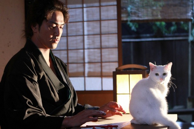 Neko Zamurai Fotoğrafı