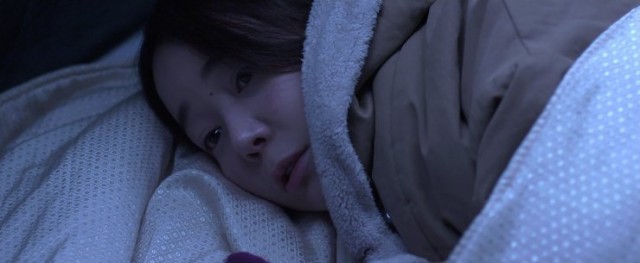 The Avian Kind Fotoğrafı