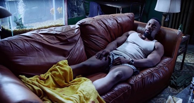 Falcon Rising Fotoğrafı