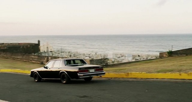 Falcon Rising Fotoğrafı