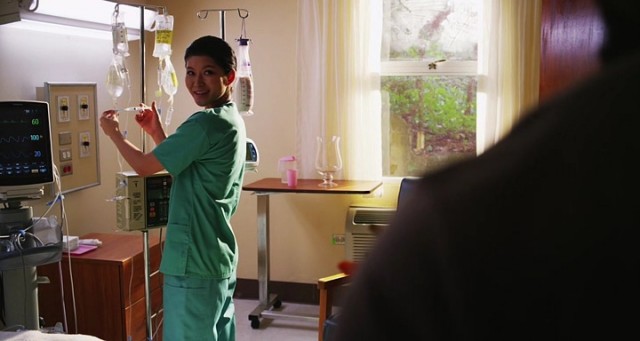 Falcon Rising Fotoğrafı