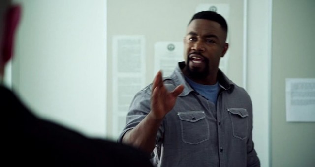 Falcon Rising Fotoğrafı