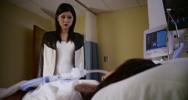 Falcon Rising Fotoğrafı