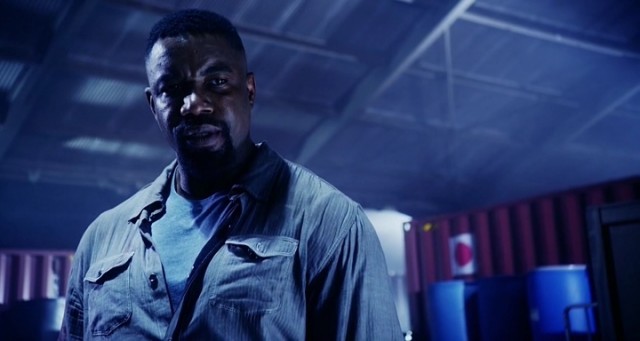 Falcon Rising Fotoğrafı