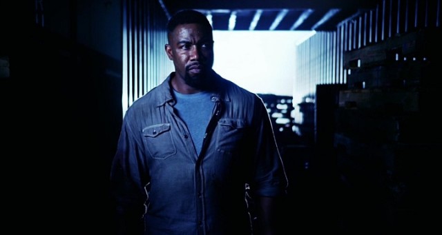 Falcon Rising Fotoğrafı