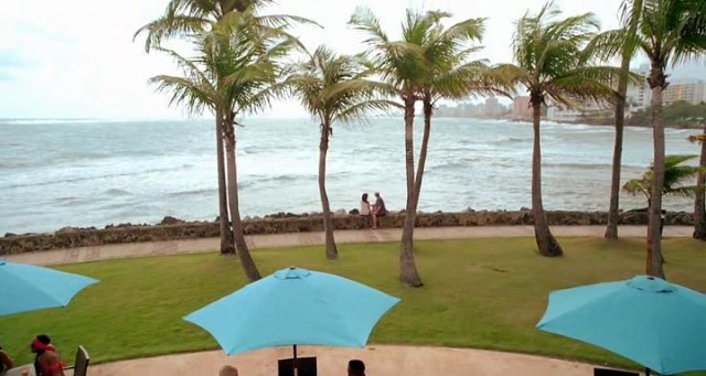 Falcon Rising Fotoğrafı