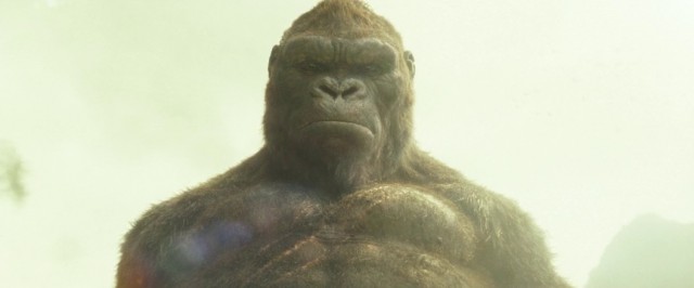 Kong: Kafatası Adası fotoğrafı