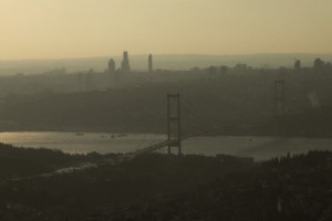 Bir Kaplumbağa ile Tavşan Hikayesi Fotoğrafı