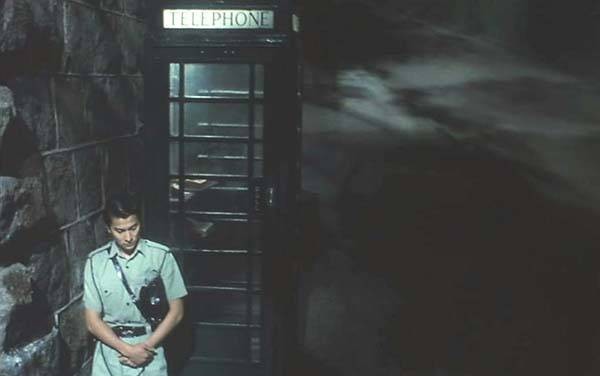 Days of Being Wild fotoğrafı