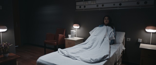 Hannas: Karanlıkta Saklanan Fotoğrafı