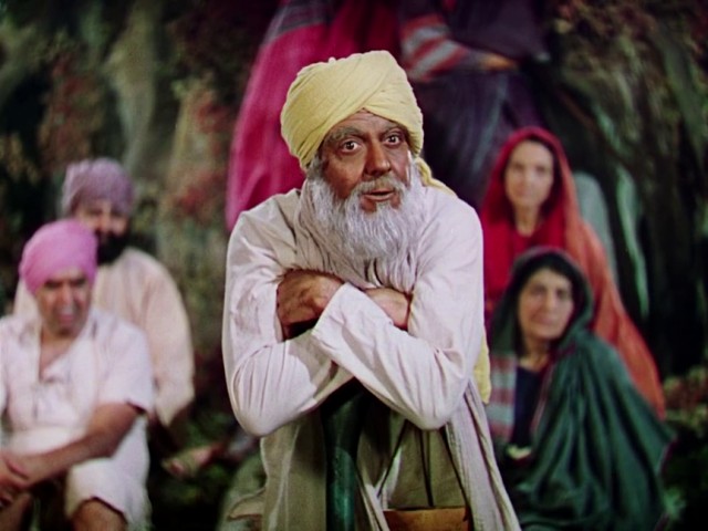 Ormanın Kitabı Fotoğrafı