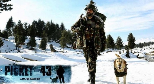 Picket 43 Fotoğrafı