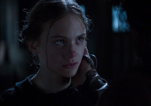 Brimstone Fotoğrafı