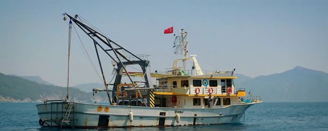 Nadide Hayat Fotoğrafı