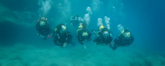 Nadide Hayat Fotoğrafı