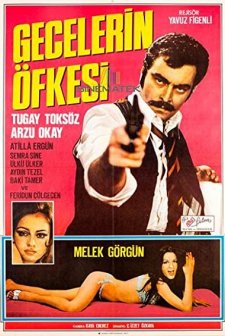 Gecelerin Öfkesi (1971) afişi