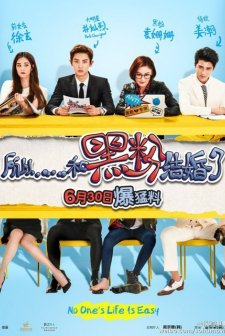 So, I Married An Anti-Fan (2016) afişi