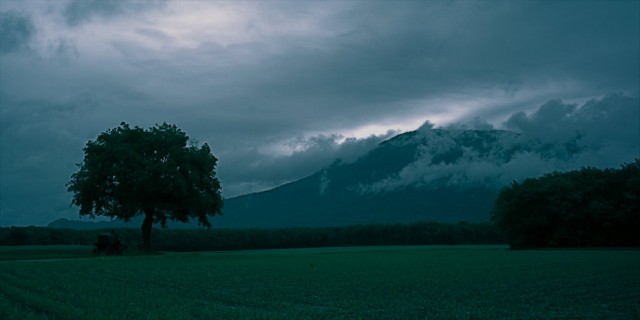 Freud's Magic Powder Fotoğrafı