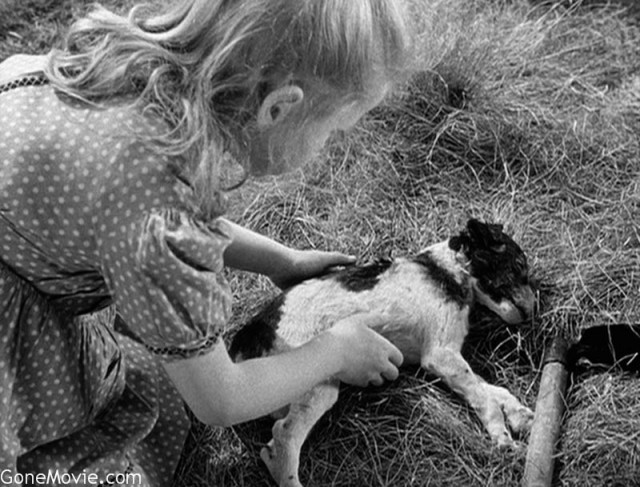 Yasak Oyunlar Fotoğrafı