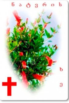 Dilek Ağacı (1976) afişi