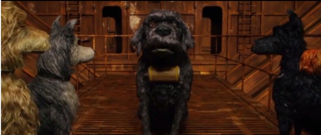 Köpek Adası Fotoğrafı