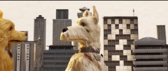 Köpek Adası Fotoğrafı