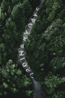 Ordinary Days (2017) afişi