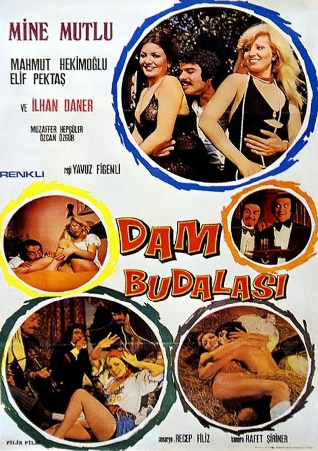 Dam Budalası (1975) afişi