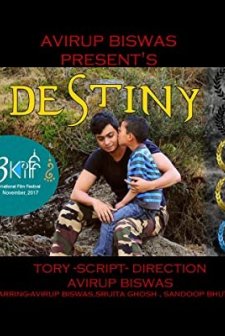 Destiny  (2017) afişi