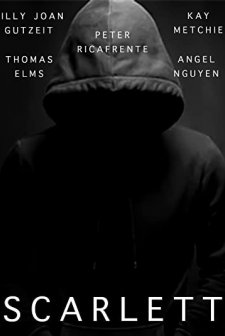 Gölgedeki Hayalet (2017) afişi