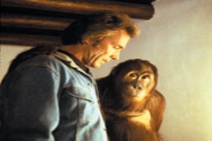 Asla Yenilme Fotoğrafı