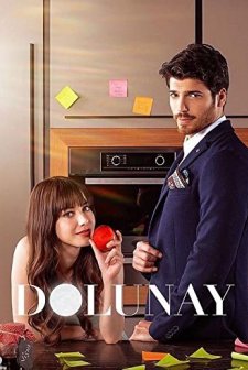 Dolunay (2017) afişi