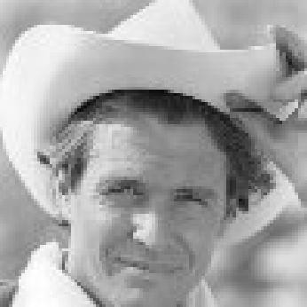 Rustlers' Rhapsody Fotoğrafı