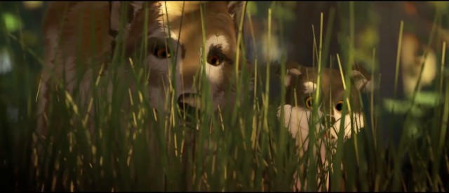 Beyaz Diş Fotoğrafı