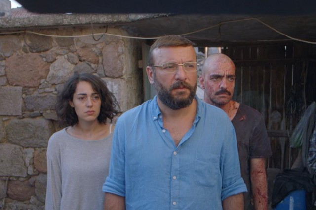 Kelebekler Fotoğrafı