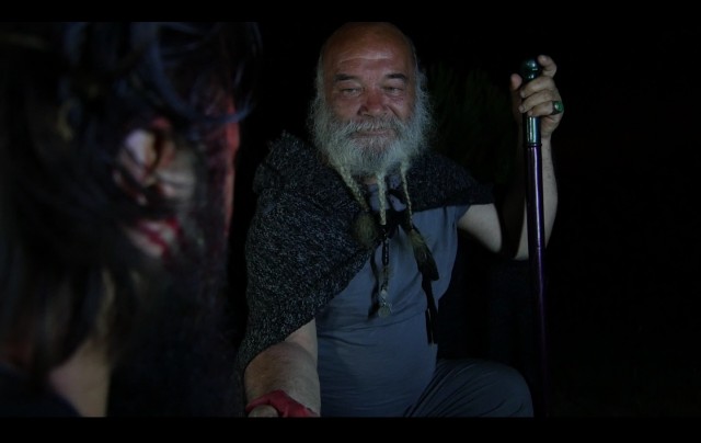 Evrensel Döngü: Yaşam Ağacına Yolculuk Fotoğrafı