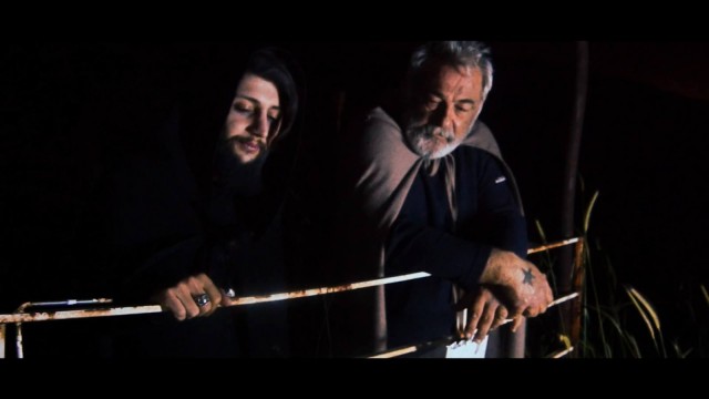 Evrensel Döngü: Yaşam Ağacına Yolculuk Fotoğrafı