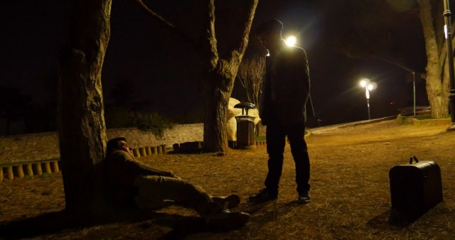 Evrensel Döngü: Yaşam Ağacına Yolculuk Fotoğrafı