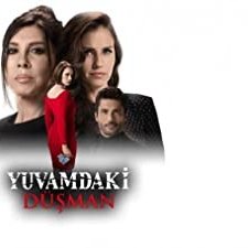Yuvamdaki Düşman (2018) afişi