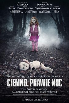 Ciemno, prawie noc (2019) afişi