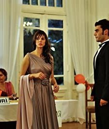 Türkan (2010) afişi