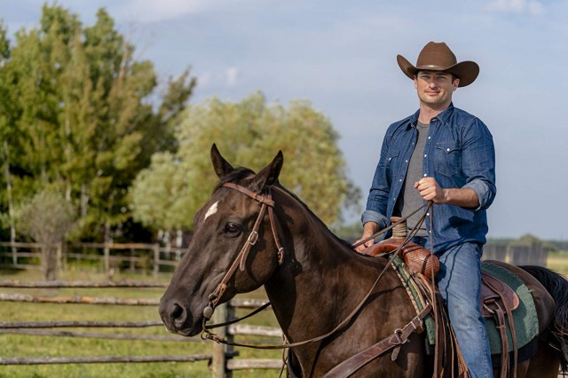 Under the Autumn Moon Fotoğrafı