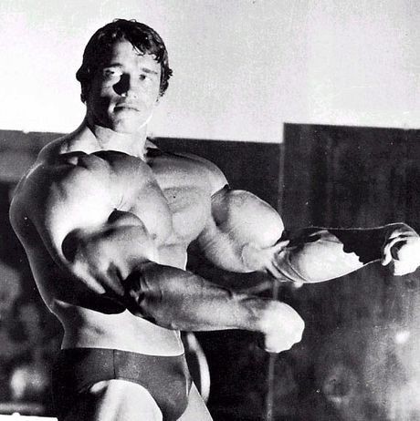 Arnold Schwarzenegger: Hollywood Hero fotoğrafı