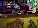 Scooby Doo 2: Canavarlar Kaçtı fotoğrafı