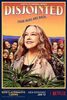 Disjointed (2017) afişi