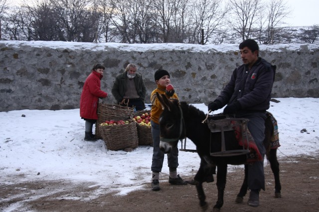 Deli Deli Olma Fotoğrafı