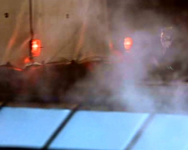 Timsah Gözyaşları fotoğrafı