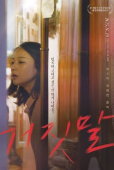 The Liar (2015) afişi