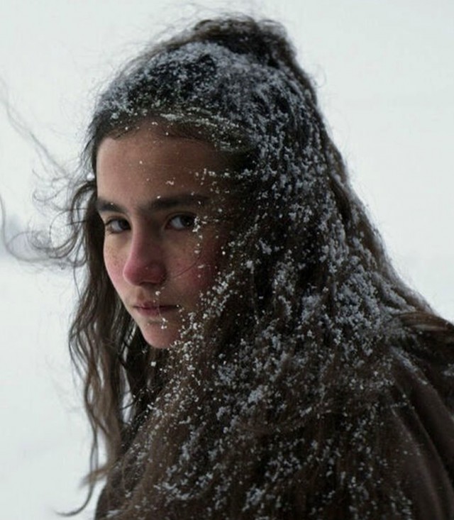 Kuru Otlar Üstüne fotoğrafı