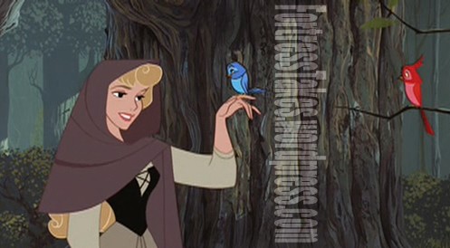 Uyuyan Güzel Fotoğrafı